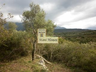 Οικόπεδο 12.000 τ.μ. προς πώληση, Προάστιο Λεύκτρου-thumb-8