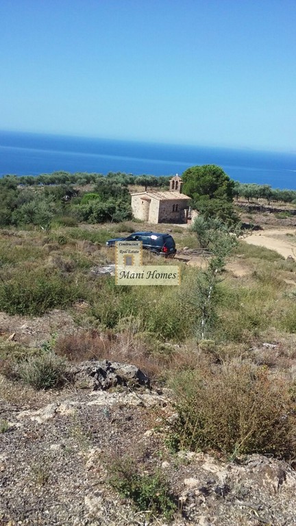 Οικόπεδο 12.000 τ.μ. προς πώληση, Προάστιο Λεύκτρου
