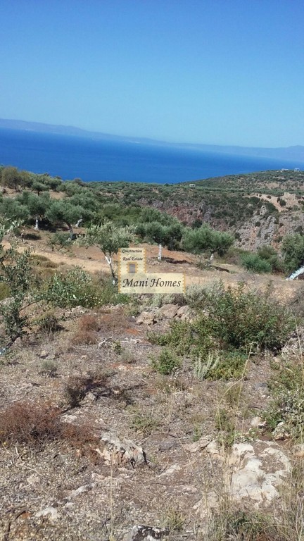Οικόπεδο 12.000 τ.μ. προς πώληση, Προάστιο Λεύκτρου