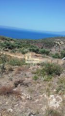 Οικόπεδο 12.000 τ.μ. προς πώληση, Προάστιο Λεύκτρου-thumb-3