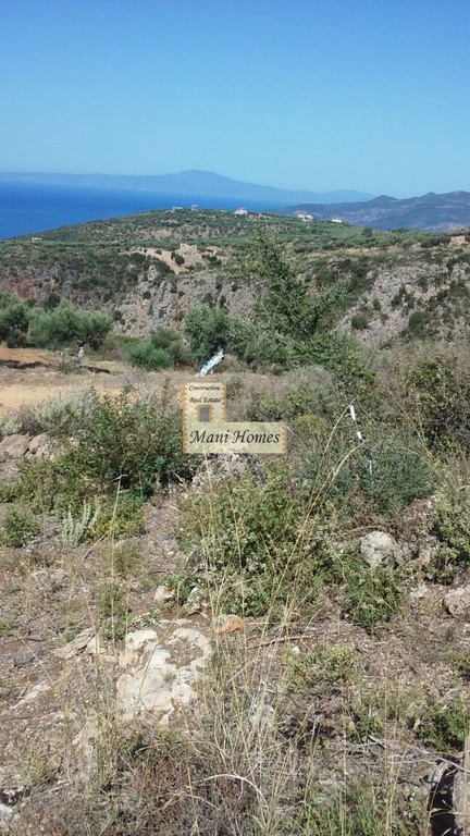 Οικόπεδο 12.000 τ.μ. προς πώληση, Προάστιο Λεύκτρου