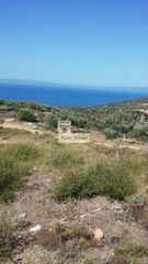 Οικόπεδο 12.000 τ.μ. προς πώληση, Προάστιο Λεύκτρου-thumb-5