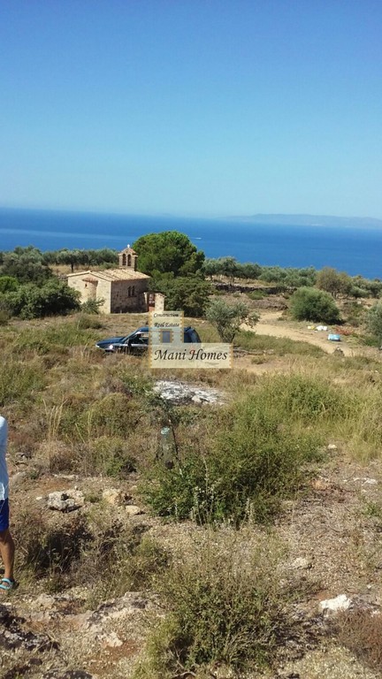 Οικόπεδο 12.000 τ.μ. προς πώληση, Προάστιο Λεύκτρου