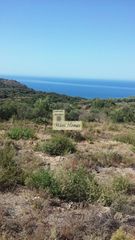 Οικόπεδο 12.000 τ.μ. για πώληση