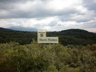 Οικόπεδο 12.000 τ.μ. προς πώληση, Προάστιο Λεύκτρου-thumb-10