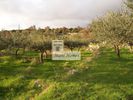 Land plot 2.400sqm for sale-Lefktros » Pirgos