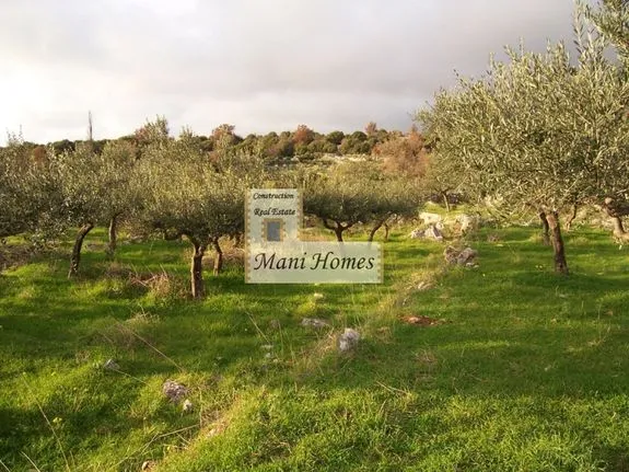 Land plot 2.400 sqm for sale, Messinia, Lefktros