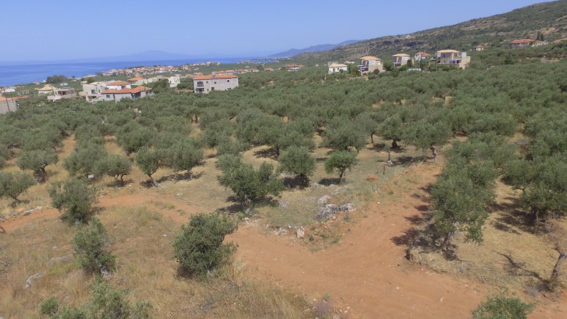 Οικόπεδο 784 τ.μ. προς πώληση, Ρίγκλια