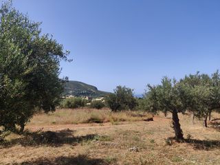 Οικόπεδο 784 τ.μ. προς πώληση, Ρίγκλια-thumb-7