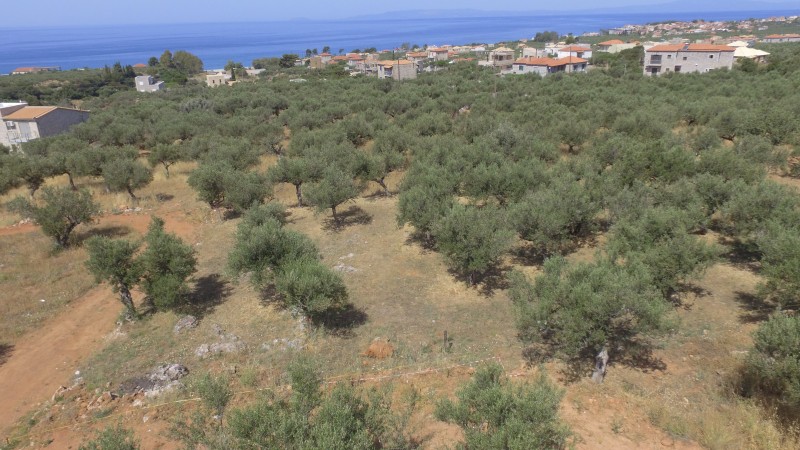 Οικόπεδο 784 τ.μ. προς πώληση, Ρίγκλια
