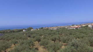 Οικόπεδο 784 τ.μ. προς πώληση, Ρίγκλια-thumb-10
