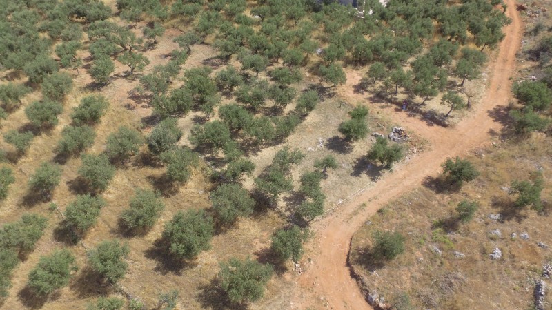 Οικόπεδο 784 τ.μ. προς πώληση, Ρίγκλια