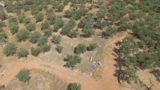 Οικόπεδο 784 τ.μ. προς πώληση, Ρίγκλια-thumb-9