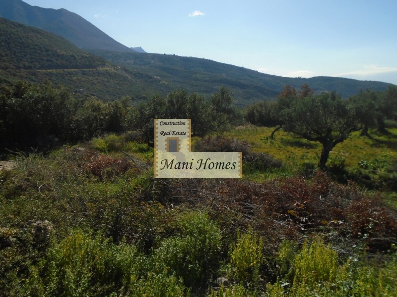 Οικόπεδο 1.500 τ.μ. πρός πώληση, Μεσσηνία, Λεύκτρος
