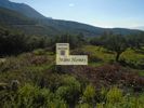 Land plot 1.500sqm for sale-Lefktros » Rigklia