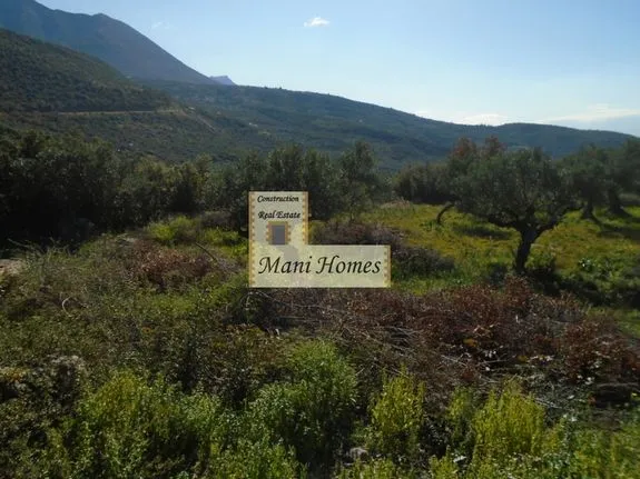 Land plot 1.500 sqm for sale, Messinia, Lefktros