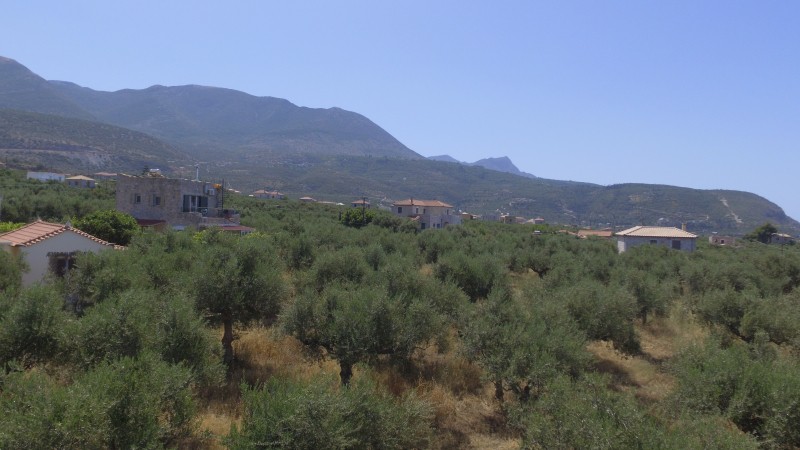 Οικόπεδο 2.257 τ.μ. πρός πώληση, Μεσσηνία, Λεύκτρος