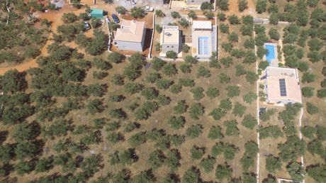 Οικόπεδο 2.257τ.μ. για πώληση-Λεύκτρος » Ρίγκλια
