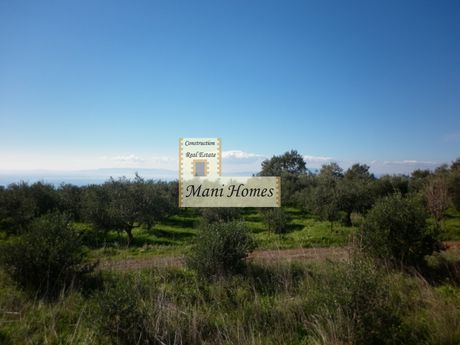 Οικόπεδο 3.839τ.μ. για πώληση-Λεύκτρος » Σαϊδόνα