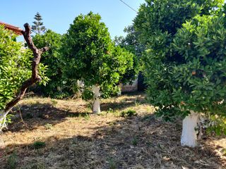 Κτίριο 220 τ.μ. προς πώληση, Στούπα-thumb-11