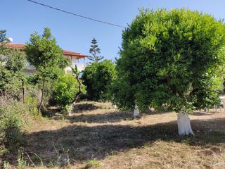 Κτίριο 220 τ.μ. προς πώληση, Στούπα-thumb-10