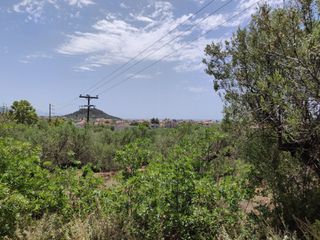 Οικόπεδο 4.281 τ.μ. προς πώληση, Στούπα-thumb-9