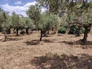 Οικόπεδο 4.281 τ.μ. προς πώληση, Στούπα-thumb-3