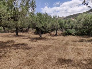 Οικόπεδο 4.281 τ.μ. προς πώληση, Στούπα-thumb-5