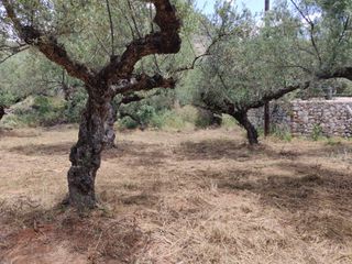 Οικόπεδο 4.281 τ.μ. προς πώληση, Στούπα-thumb-7