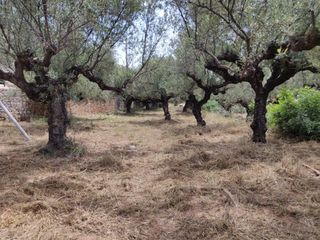 Οικόπεδο 4.281 τ.μ. προς πώληση, Στούπα-thumb-6