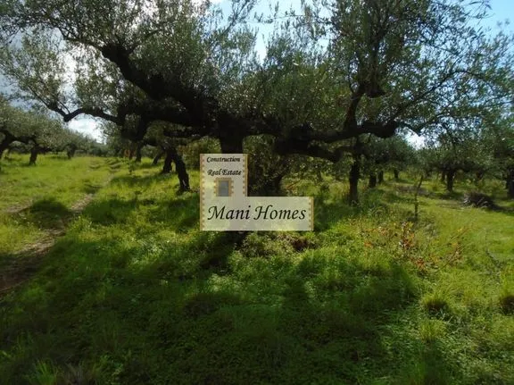 Land plot 365 sqm for sale, Messinia, Lefktros