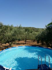 Μονοκατοικία 55 τ.μ. προς πώληση, Πανιπέρι-thumb-21