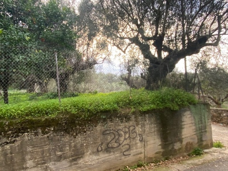 Οικόπεδο 527 τ.μ. πρός πώληση, Μεσσηνία, Καλαμάτα