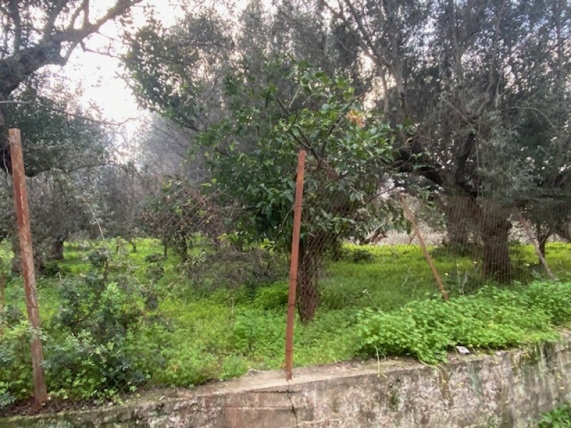 Οικόπεδο 527 τ.μ. πρός πώληση, Μεσσηνία, Καλαμάτα