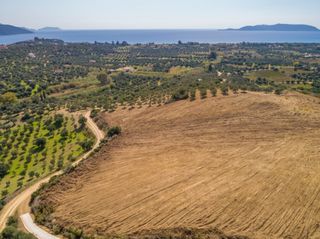 Οικόπεδο 14.608 τ.μ. για πώληση, Μεσσηνία, Μεθώνη-thumb-10