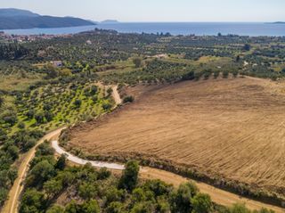 Οικόπεδο 14.608 τ.μ. για πώληση, Μεσσηνία, Μεθώνη-thumb-8