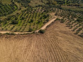 Οικόπεδο 14.608 τ.μ. για πώληση, Μεσσηνία, Μεθώνη-thumb-7