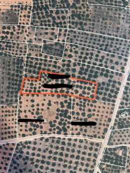 Land plot 4.400sqm for sale-Pilos » Elaiofito
