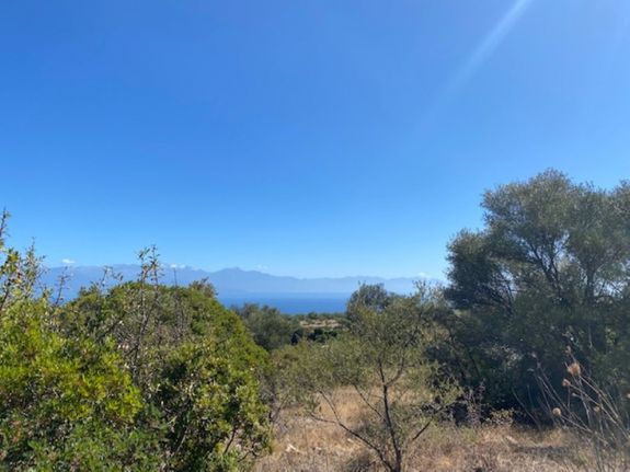 Parcel 8.653 sqm for sale, Messinia, Petalidi