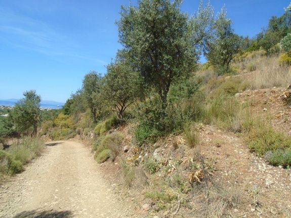 Αγροτεμάχια 17.116 τ.μ. για πώληση, Μεσσηνία, Καλαμάτα