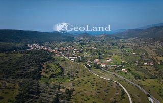 Αγροτεμάχια 17.855 τ.μ. για πώληση