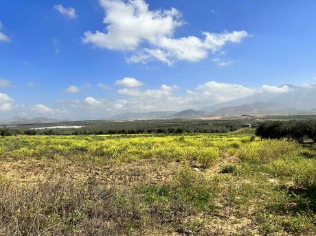 Οικόπεδο 43.007 τ.μ. για πώληση