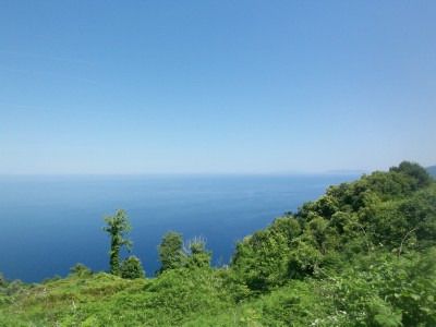 Land plot 4.800sqm for sale-Mouresi » Xorichti