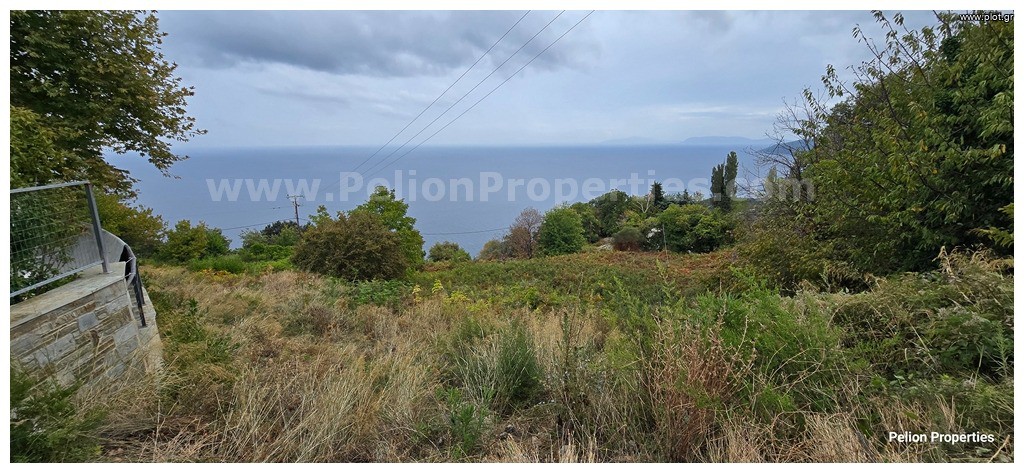 Οικόπεδο 4.800 τ.μ. πρός πώληση, Μαγνησία, Μούρεσι