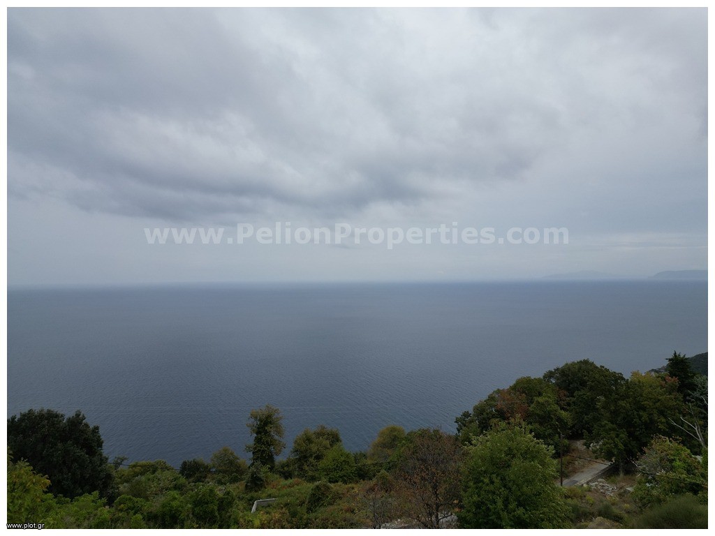 Οικόπεδο 4.800 τ.μ. πρός πώληση, Μαγνησία, Μούρεσι