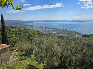 Βίλλα 230 τ.μ. προς πώληση, Πινακάτες-thumb-19