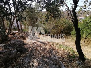 Οικόπεδο 468 τ.μ. για πώληση, Ν. Χίου, Χίος-thumb-2