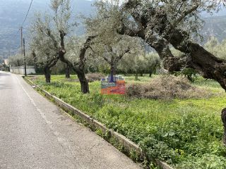 Οικόπεδο 550 τ.μ. για πώληση, Αχαΐα, Διακοπτό-thumb-4