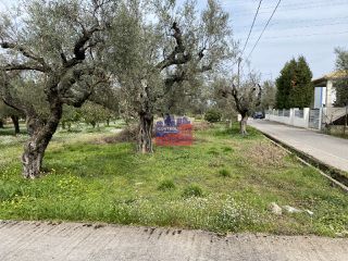 Οικόπεδο 550 τ.μ. για πώληση, Αχαΐα, Διακοπτό-thumb-5