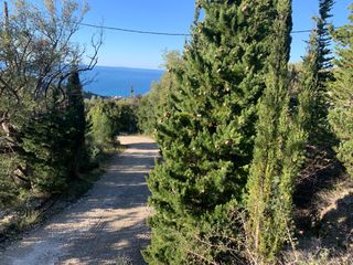 Αγροτεμάχια 735 τ.μ. για πώληση